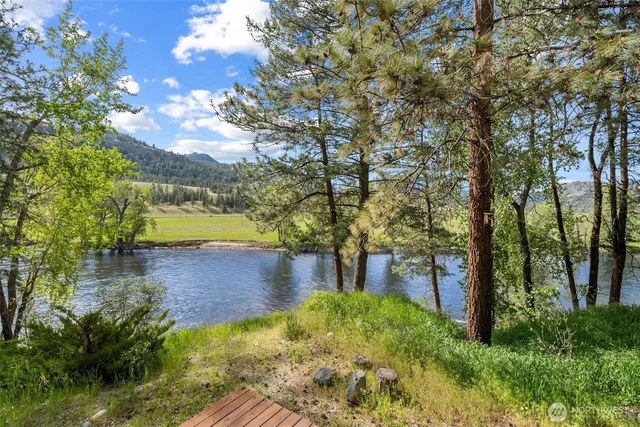 a view of a yard with plants and large trees