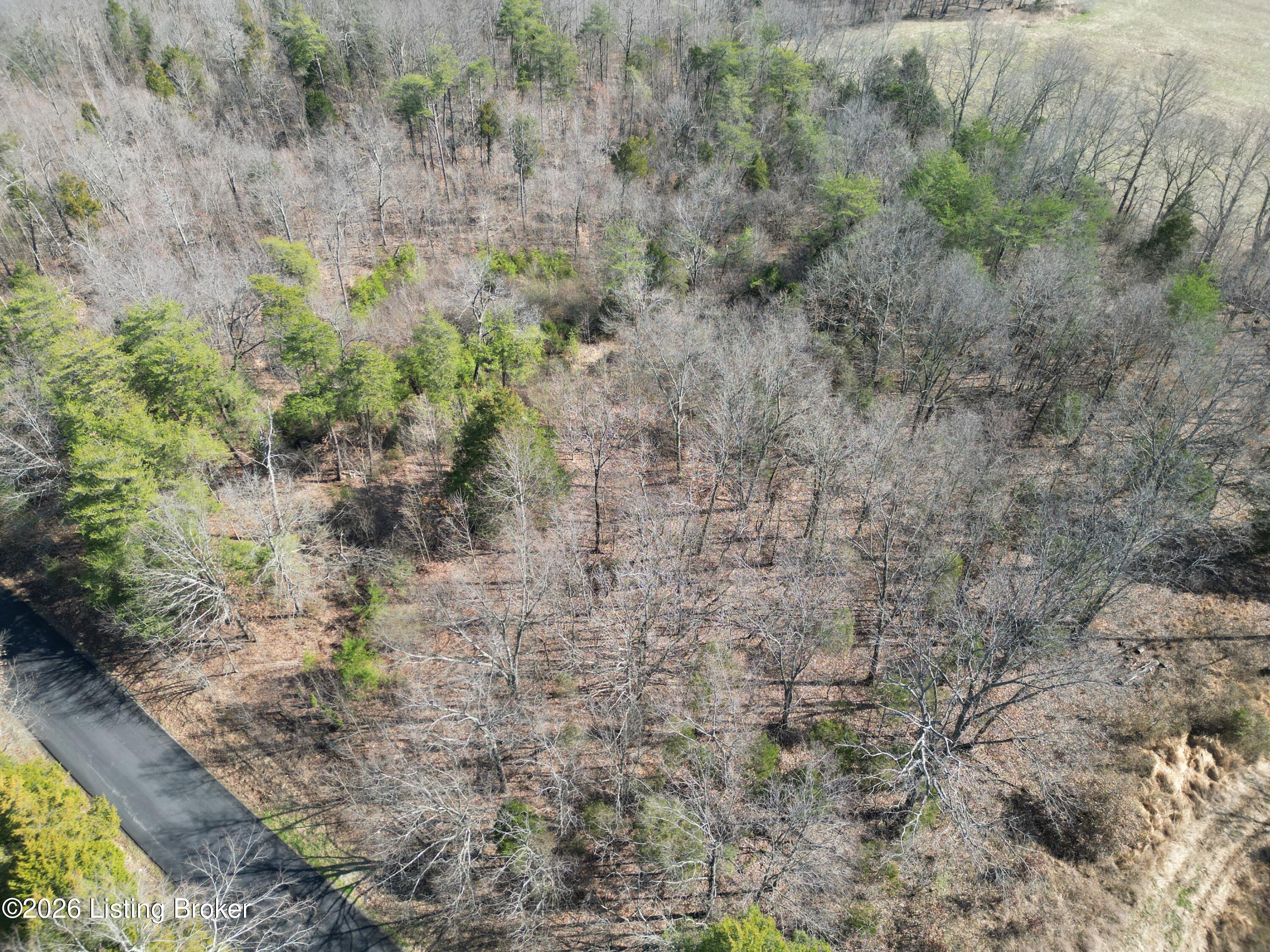 Lot 3 Shores Rd Falls Falls Of Rough, KY 40119 - Photo 5 of 15 3b