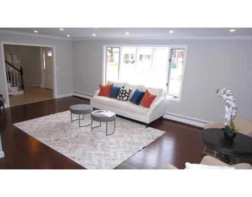 108 Pine Ridge Road Medford, MA 02155 - Photo 12 of 25 a living room with furniture and a potted plant
