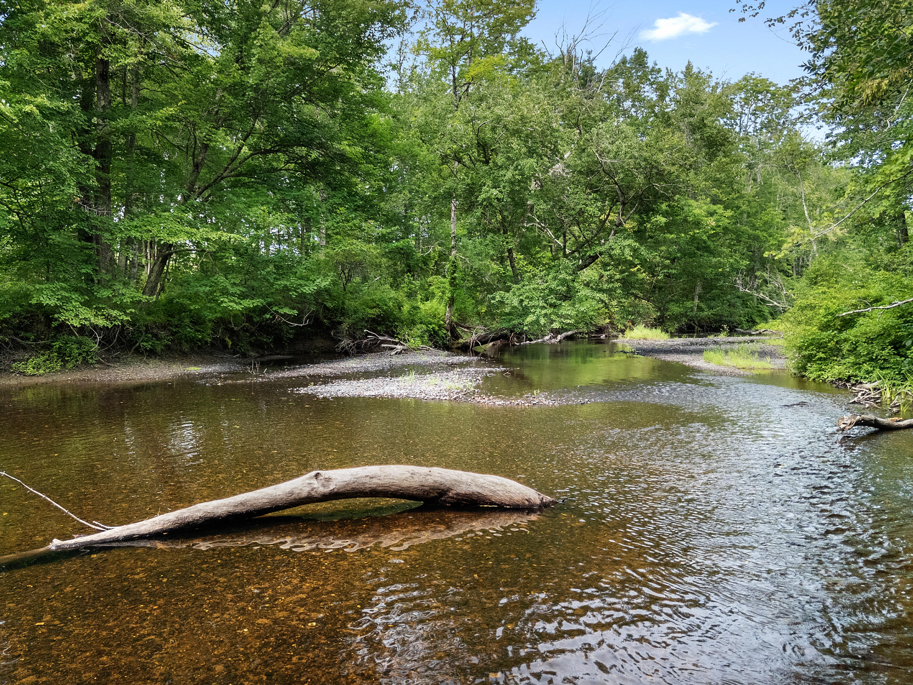 198 Sennebec Road Union, ME 04862 - Photo 6 of 49 bracket_0043_DJI_20260805120239_0940_D