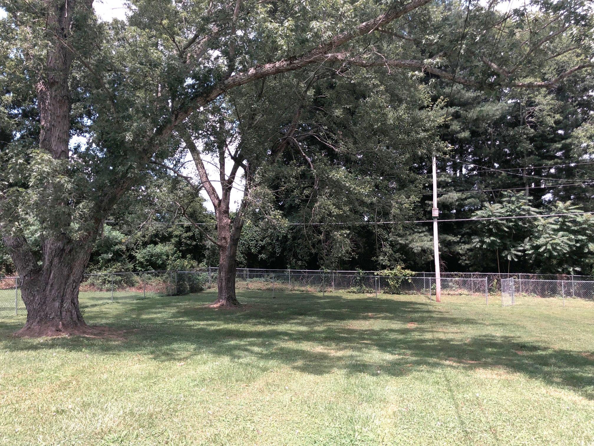 198 Shannon Road Jacksboro, TN 37757 - Photo 27 of 29 IMG_3432