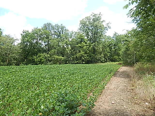 4200 Pennington Road Clinton, MI 49236 - Photo 8 of 29 DSCN9544