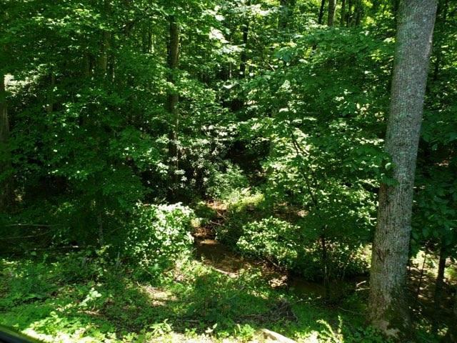 Tbd Millstone Road, Unit 46 Woodlawn, VA 24381 - Photo 8 of 24 Gallery Image 8