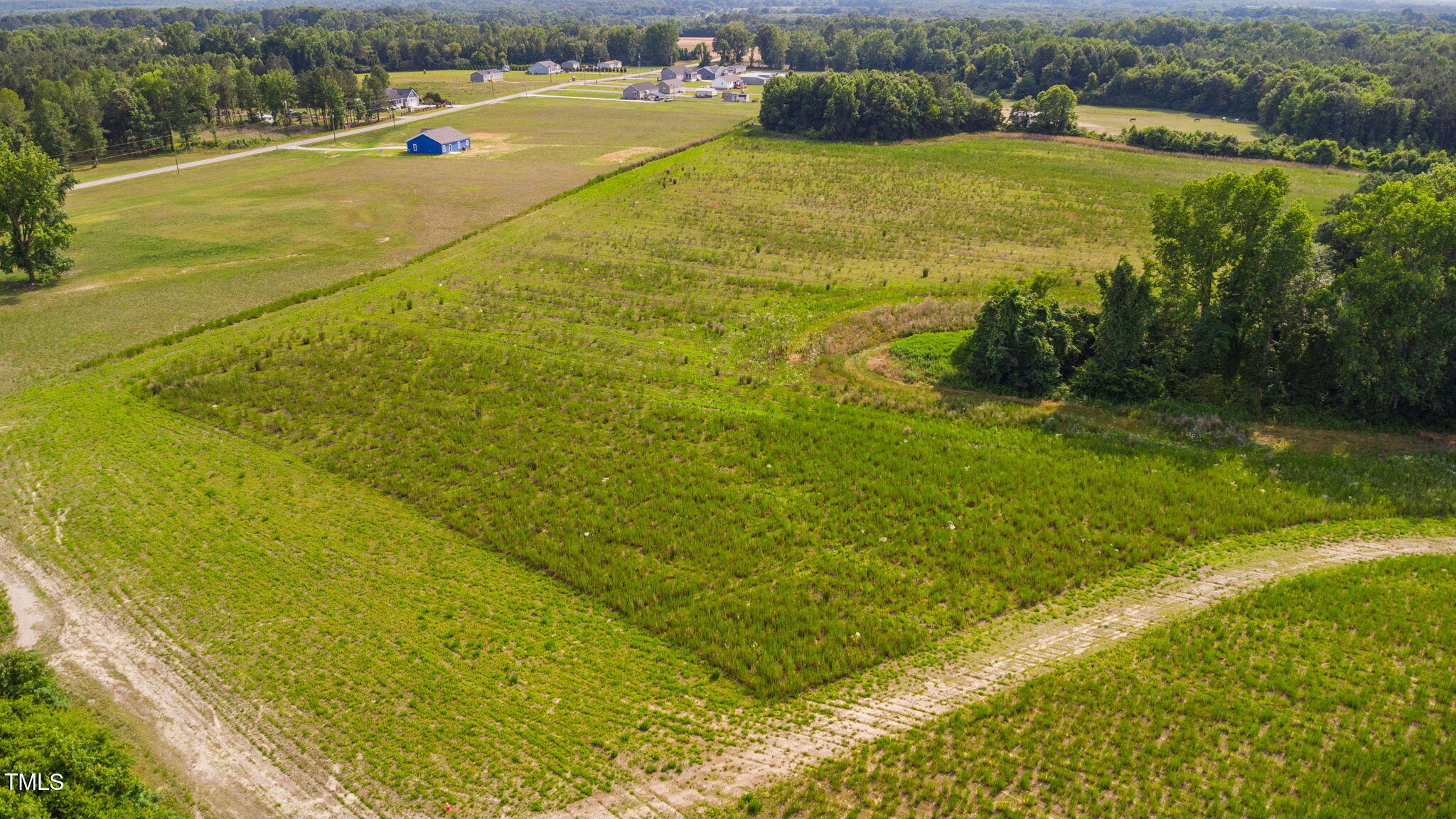 1390 Nick Coley Road Whitakers, NC 27891 - Photo 11 of 37 5-web-or-mls-1390-nick-coley-rd