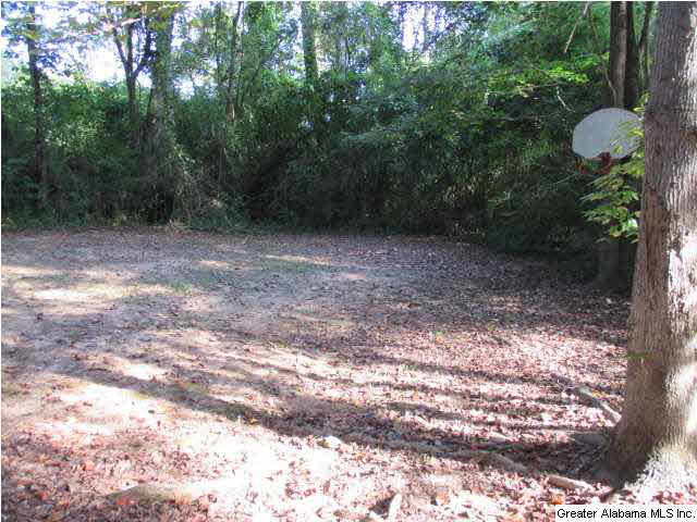 952 Old Kellyton Road Alexander City, AL 35010 - Photo 12 of 13