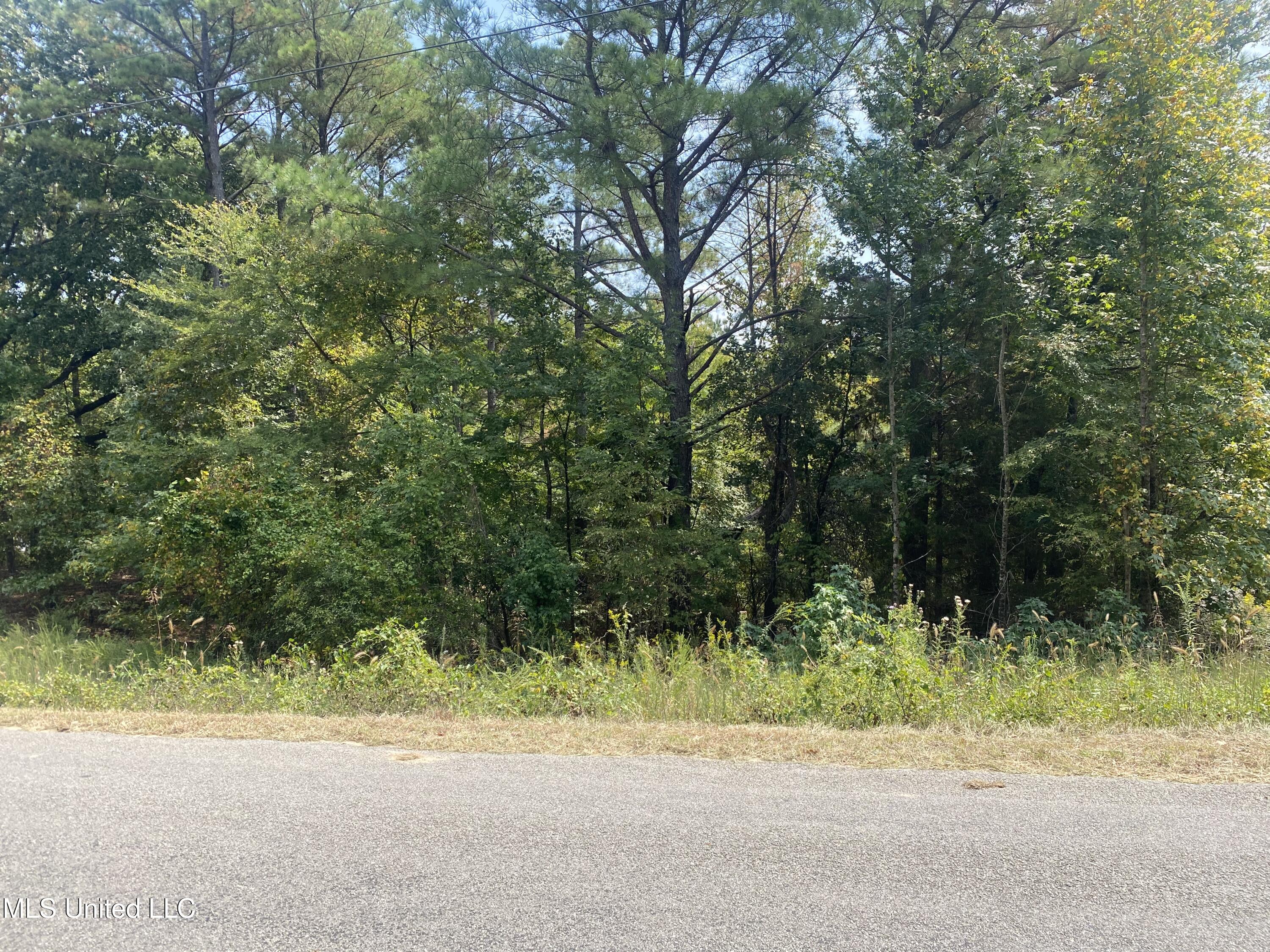 519 County Road Como, MS 38619 - Photo 2 of 7 IMG_7300
