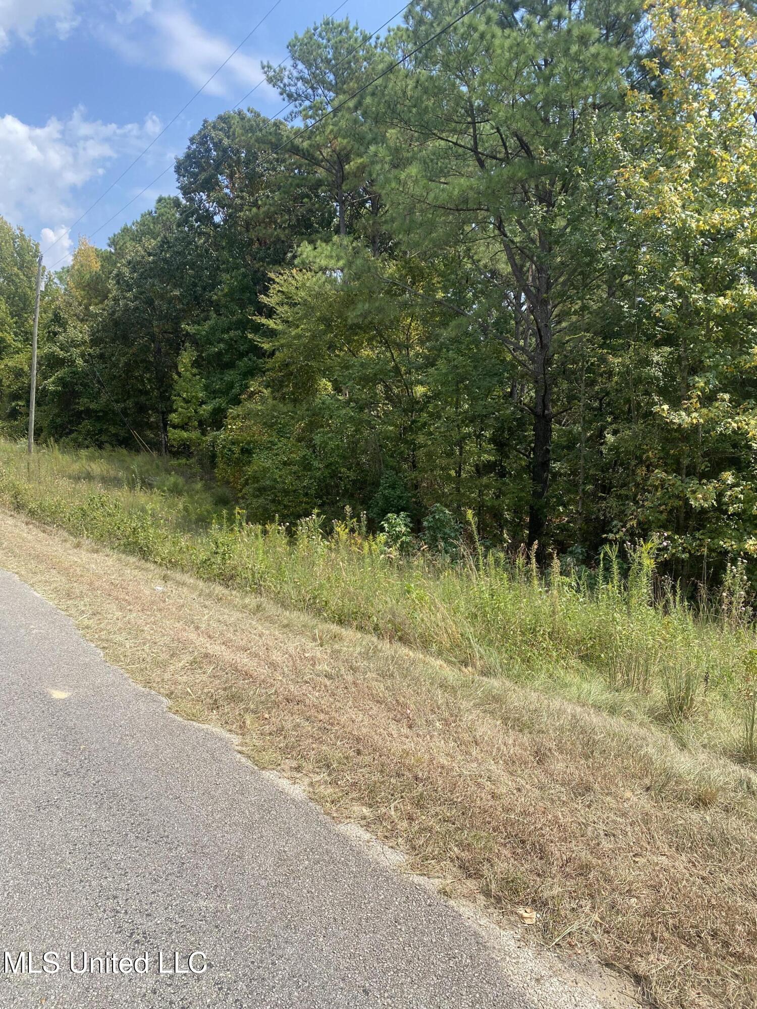 519 County Road Como, MS 38619 - Photo 3 of 7 IMG_7302