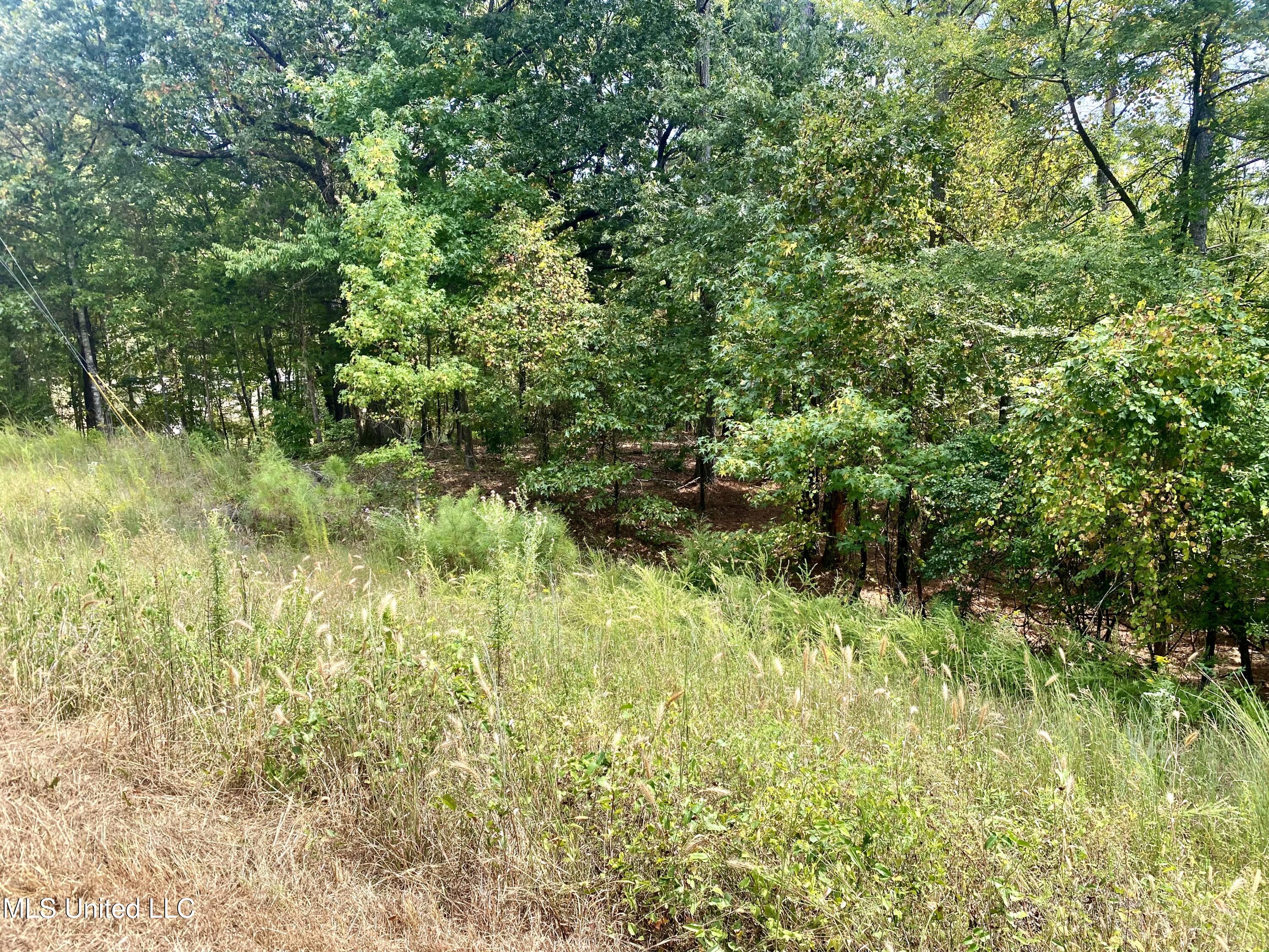 519 County Road Como, MS 38619 - Photo 5 of 7 IMG_7306