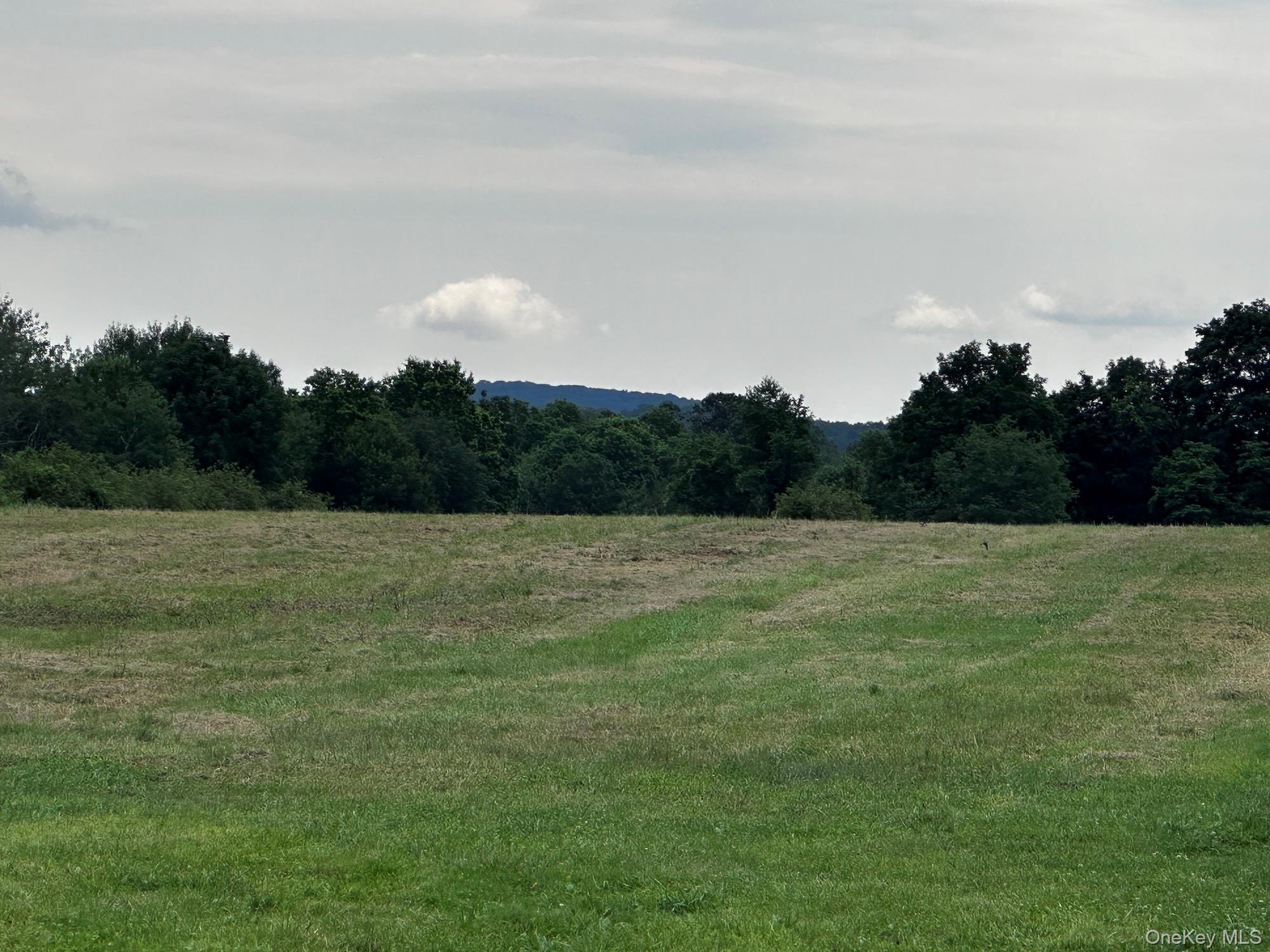 32 South Route Modena, NY 12548 - Photo 11 of 21 View of woods with a view of rural / pastoral area