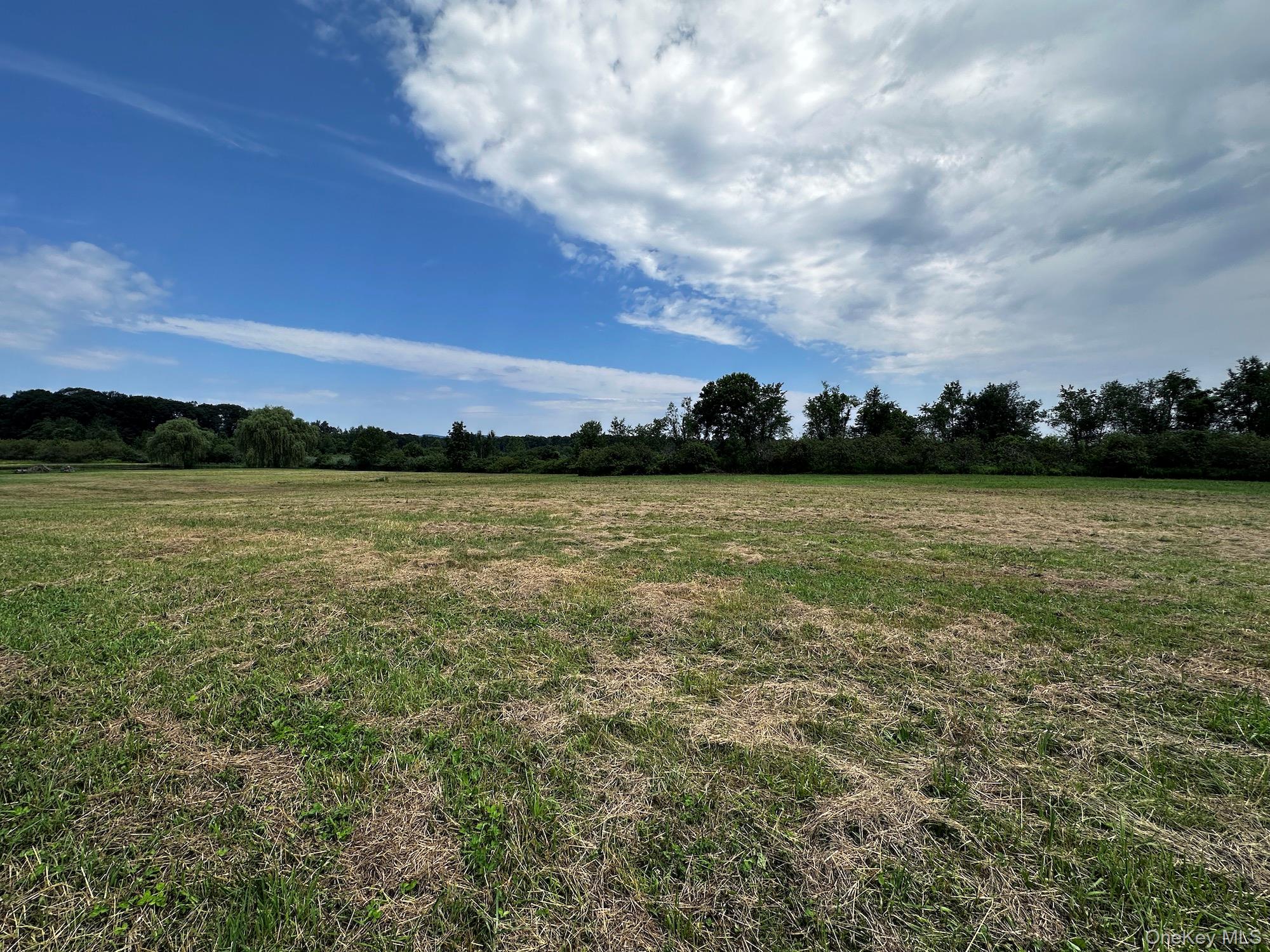 32 South Route Modena, NY 12548 - Photo 13 of 21 View of local wilderness with rural landscape
