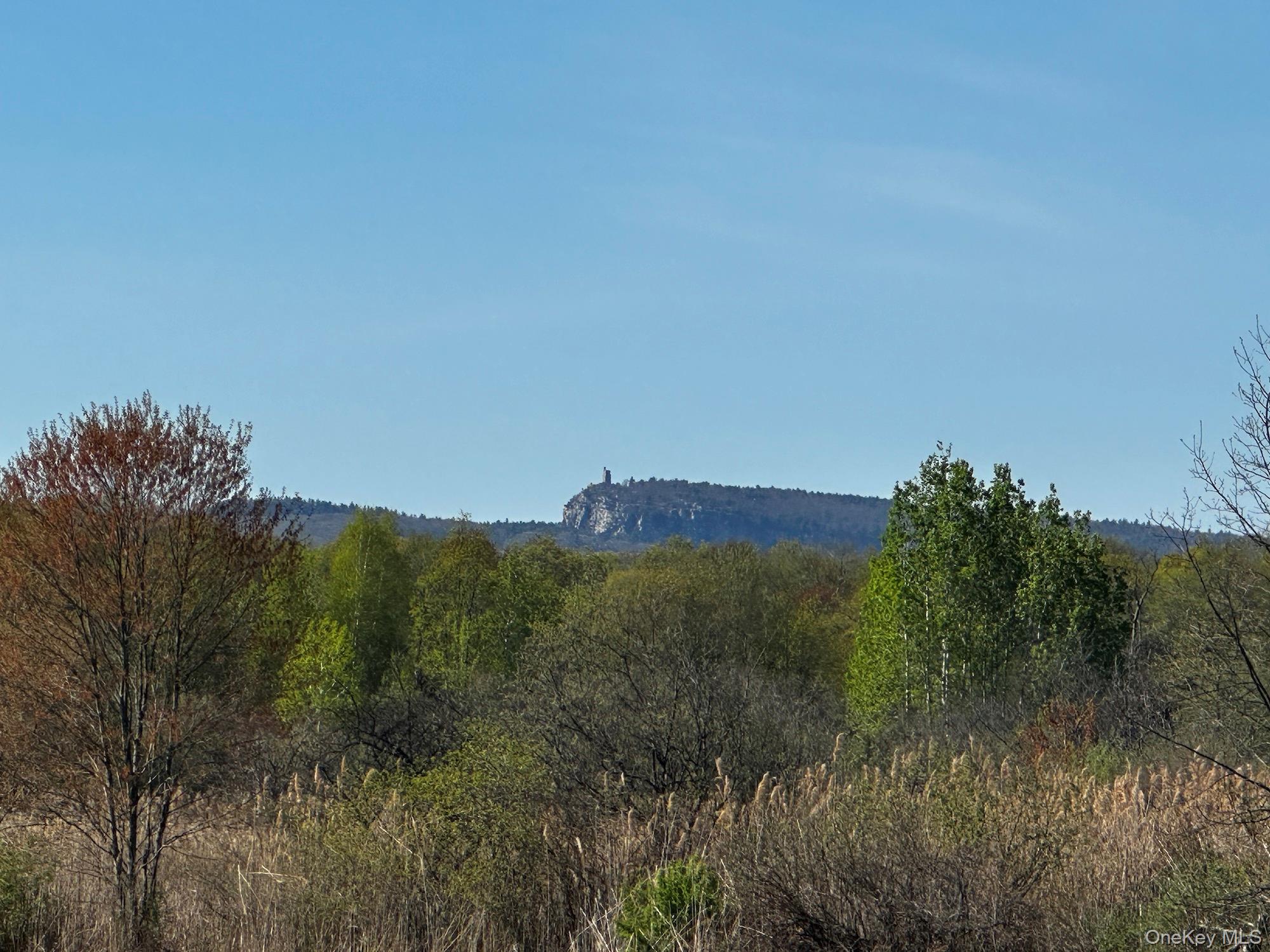 32 South Route Modena, NY 12548 - Photo 3 of 21 View of mountain background