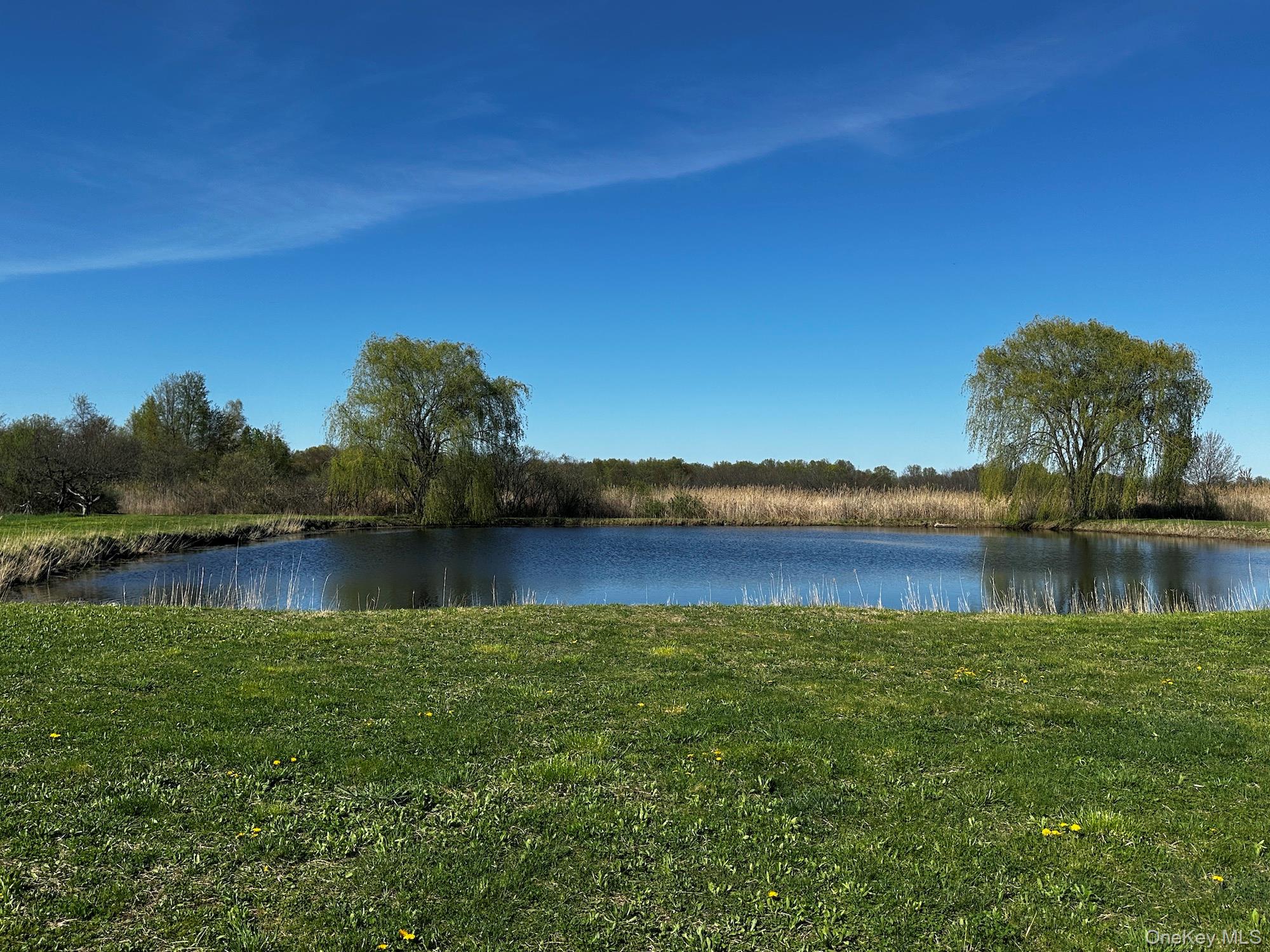 32 South Route Modena, NY 12548 - Photo 7 of 21 Water view