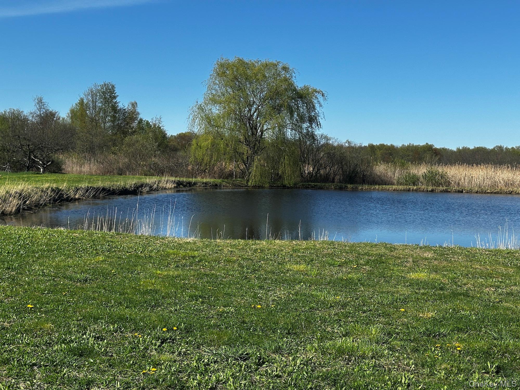 32 South Route Modena, NY 12548 - Photo 8 of 21 Water view