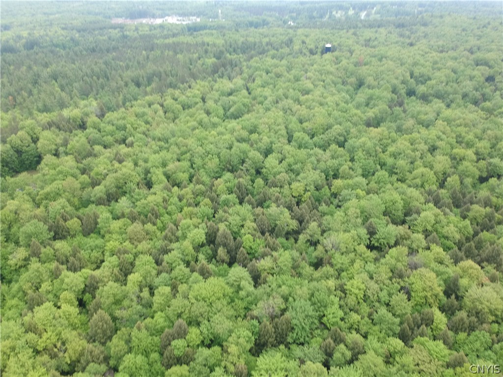 8474 Halstead Road Vienna, NY 13308 - Photo 35 of 36