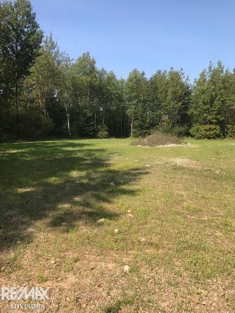 6899 Buck Run Spruce, MI 48762 - Photo 13 of 26