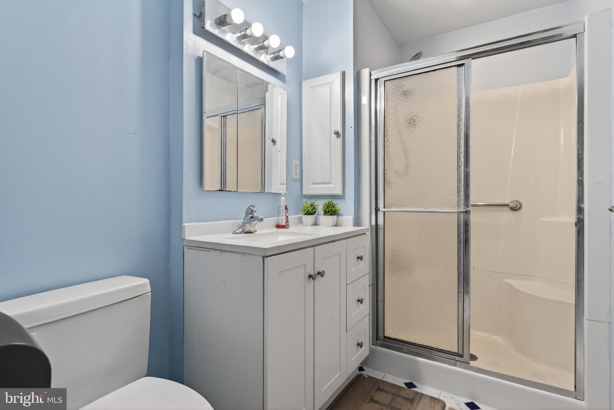 2210 Berkshire Road Lancaster, PA 17603 - Photo 39 of 68 a bathroom with a sink a toilet a mirror and shower
