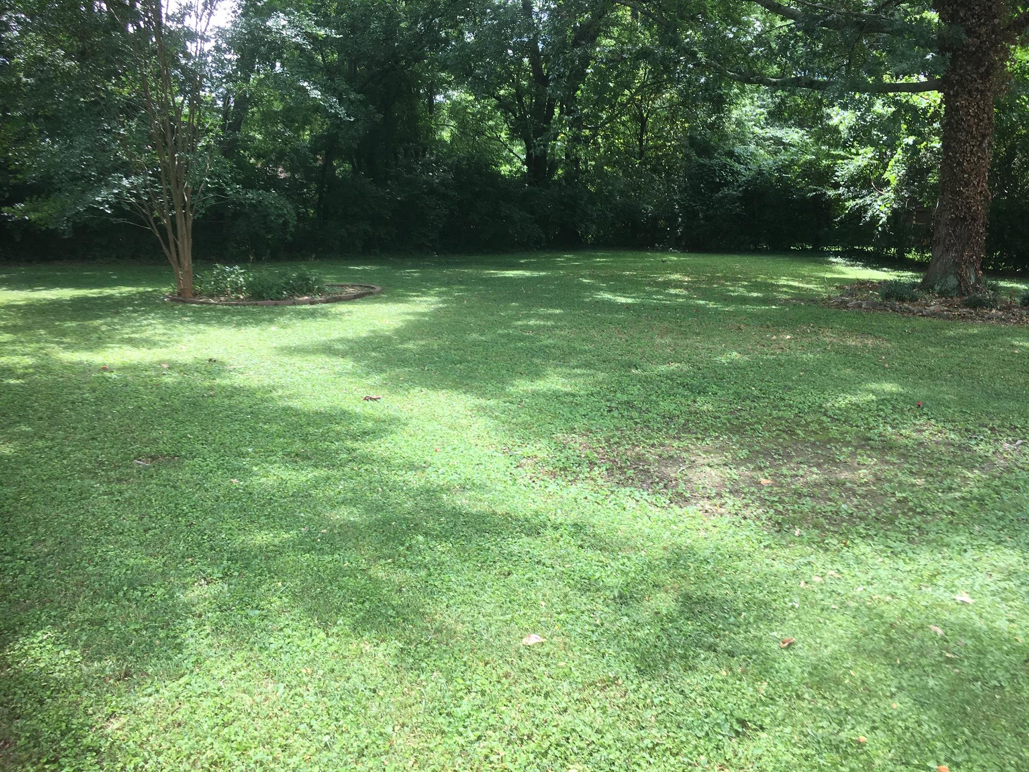 8025 Esterbrook Drive Nashville, TN 37221 - Photo 12 of 14