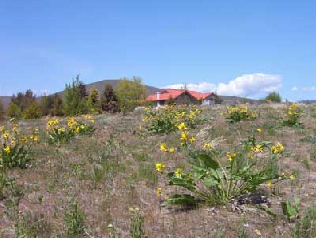 2762 Cook Road Yakima, WA 98908 - Photo 5 of 7 a view of a lake