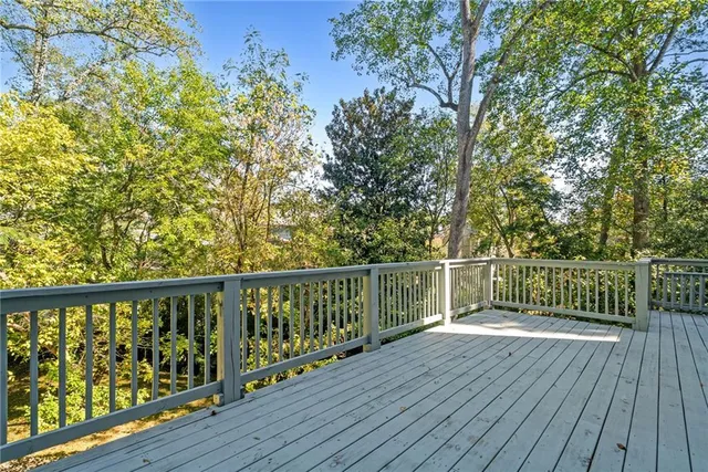 a view of a yard with plants and large trees