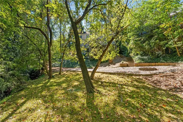 a view of outdoor space and yard