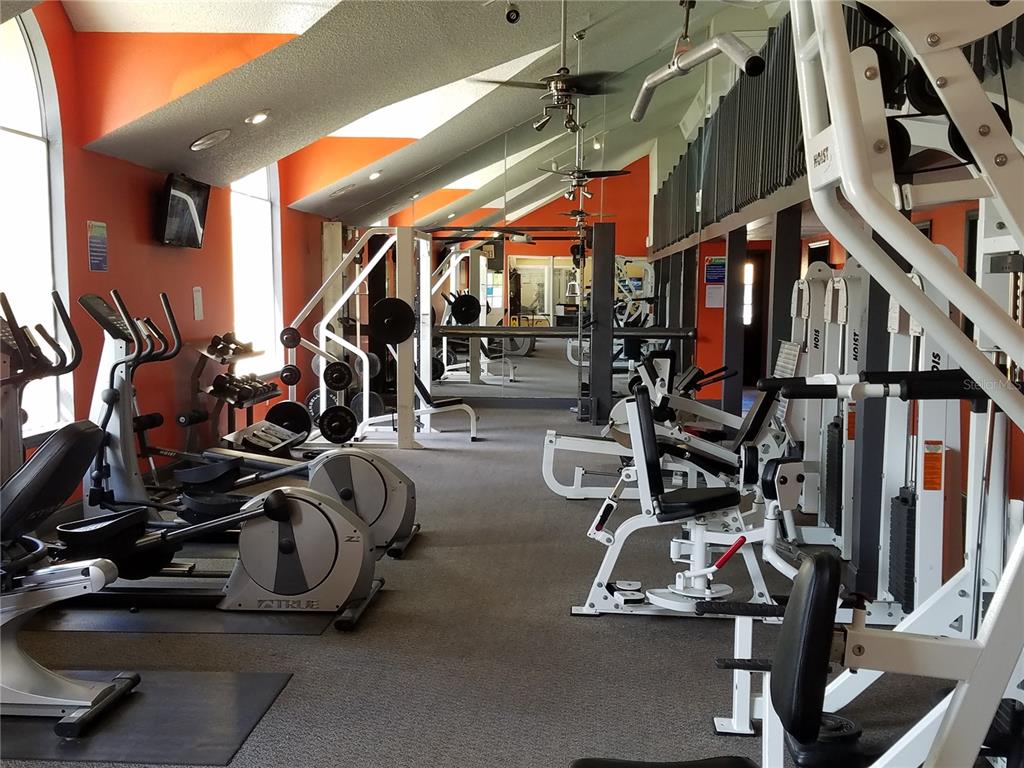 4572 Commander Drive, Unit 1237 Orlando, FL 32822 - Photo 27 of 31 a view of a room with gym equipment