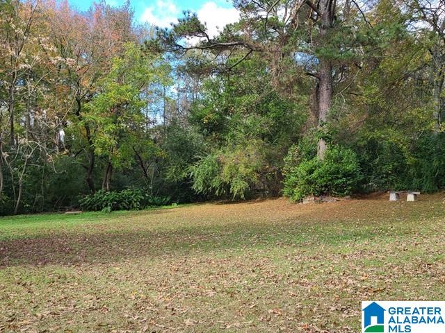 436 Cullman Road Gardendale, AL 35071 - Photo 24 of 27