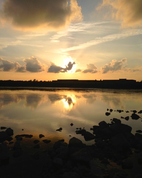 232 Loradale Road Oswego, IL 60543 - Photo 53 of 54