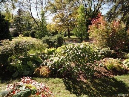 1577 Derby Road Birmingham, MI 48009 - Photo 18 of 28 Front Yard Gardens.JPG