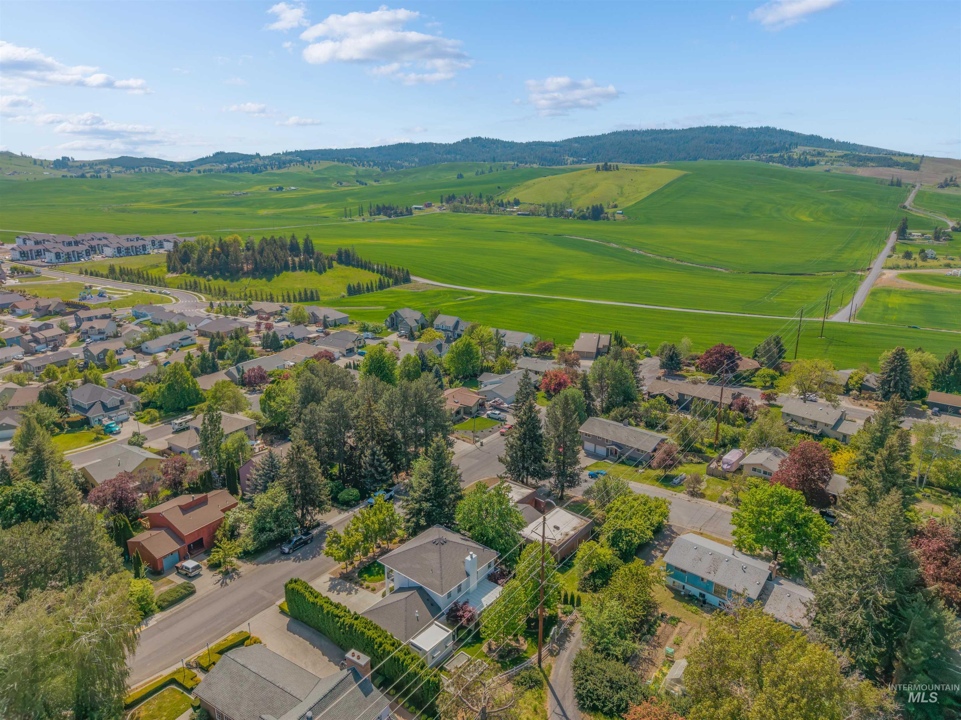1617 Pine Cone Road Moscow, ID 83843 - Photo 42 of 44 Expansive green fields bordering a residential area with varied home styles and mature trees
