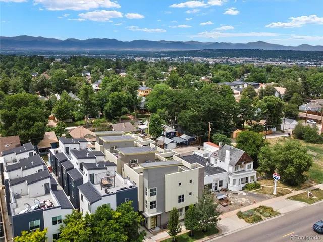 a view of a bunch of flowers in a garden