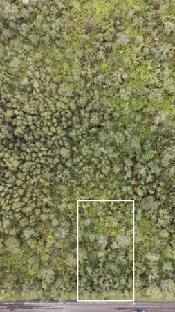 $45,000 | 612 Wohi Place, Volcano, HI 96785