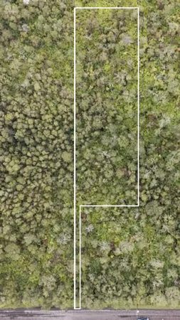 $45,000 | 612 Wohi Place, Volcano, HI 96785