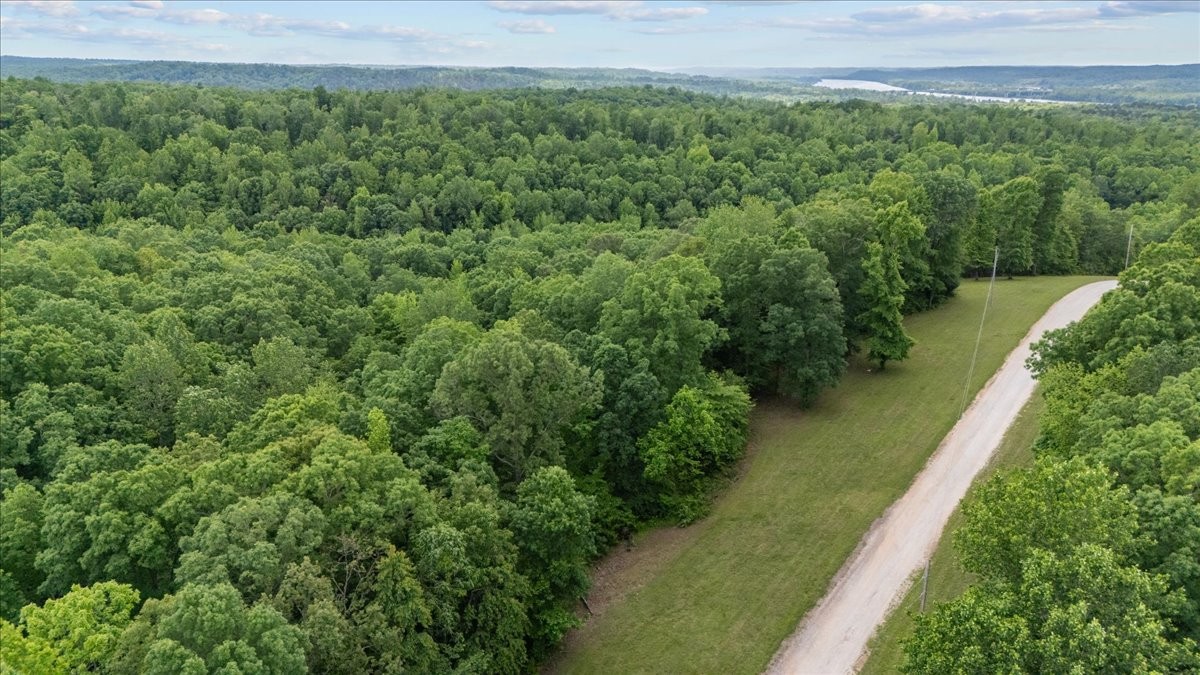 0 Rustic Valley Drive Waverly, TN 37185 - Photo 13 of 23