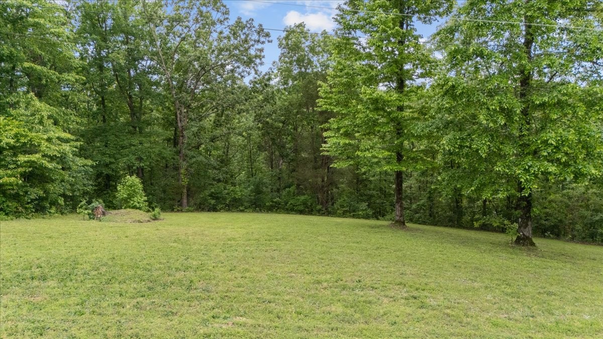 0 Rustic Valley Drive Waverly, TN 37185 - Photo 3 of 23