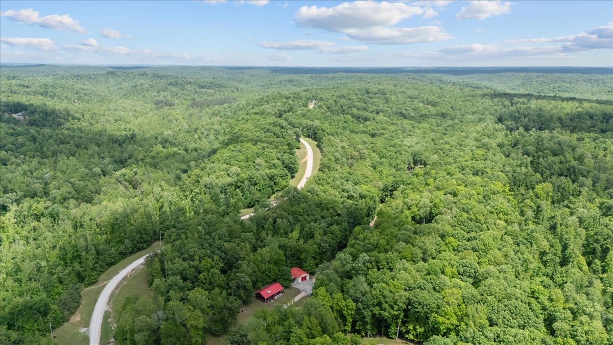 0 Rustic Valley Drive Waverly, TN 37185 - Photo 6 of 23