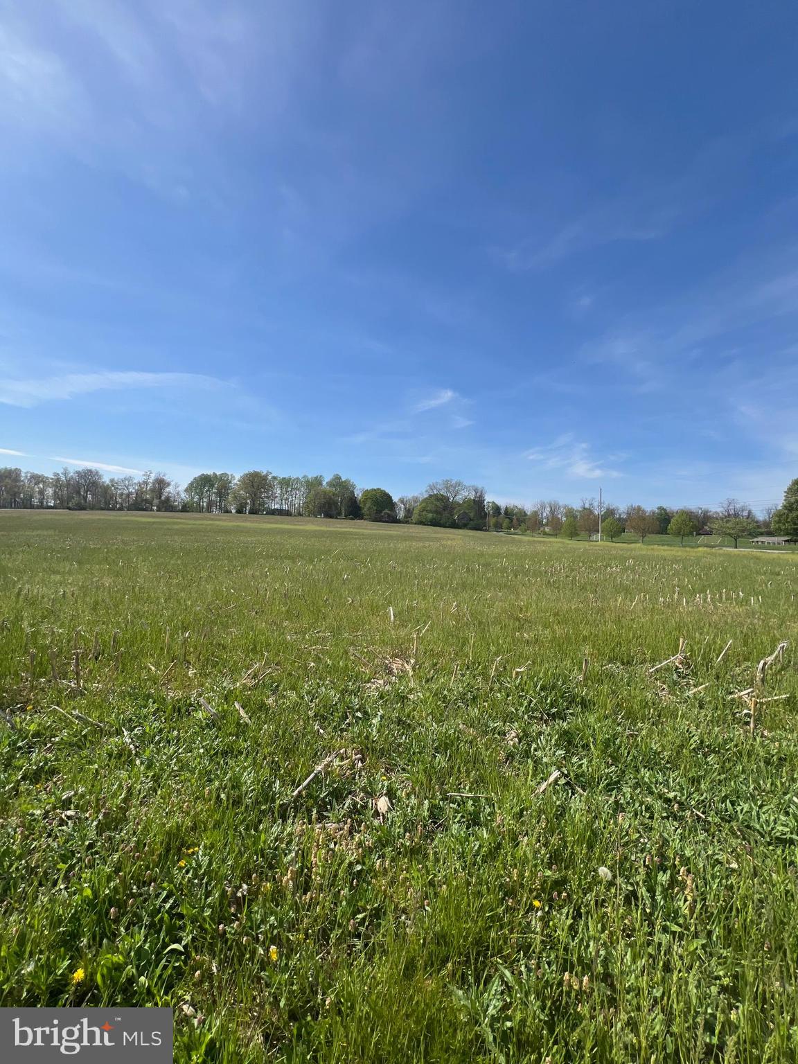 302 West Ridge Road Dillsburg, PA 17019 - Photo 3 of 6 Gallery Image 3
