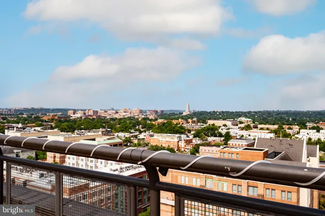 a view of a garden with plants
