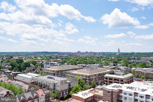 a park view with a tree