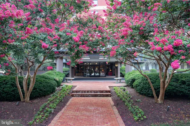 a view of a garden with a pathway