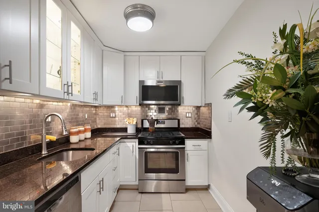a kitchen with granite countertop a stove and a potted plant