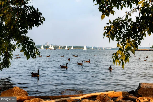 $394,900 | 801 North Pitt Street, Unit 1708, Alexandria, VA 22314