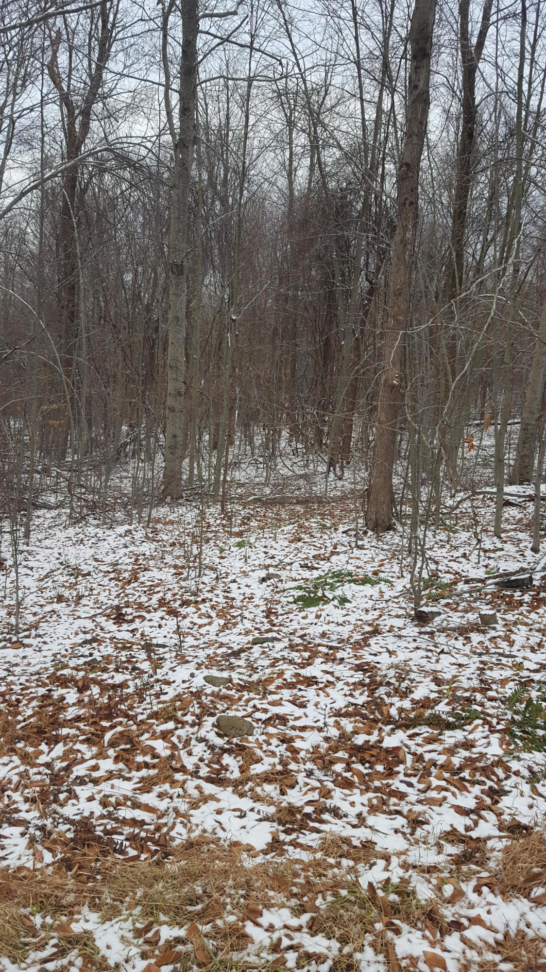 Kellows Road Honesdale, PA 18431 - Photo 3 of 5