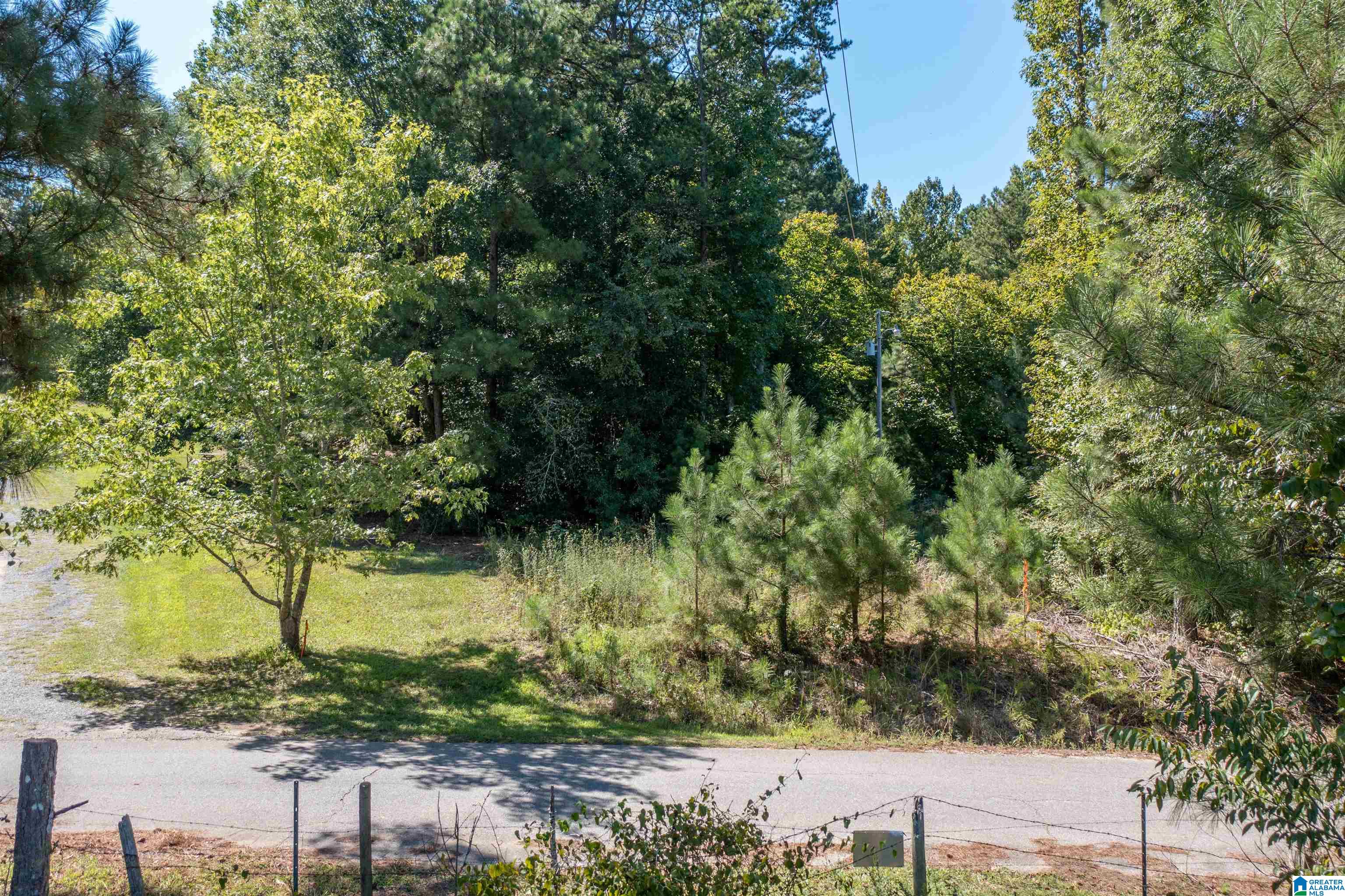 0 Dripping Rock Road Jacksonville, AL 36265 - Photo 5 of 14