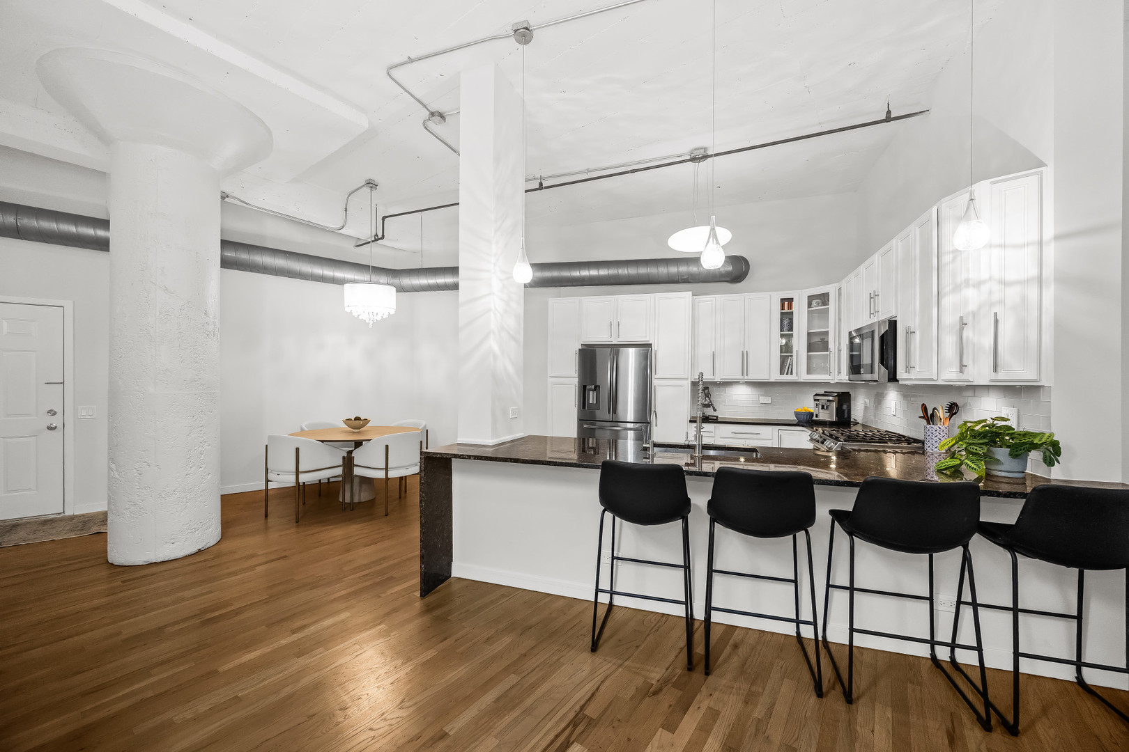 17 North Loomis Street, Unit 1J Chicago, IL 60607 - Photo 2 of 29