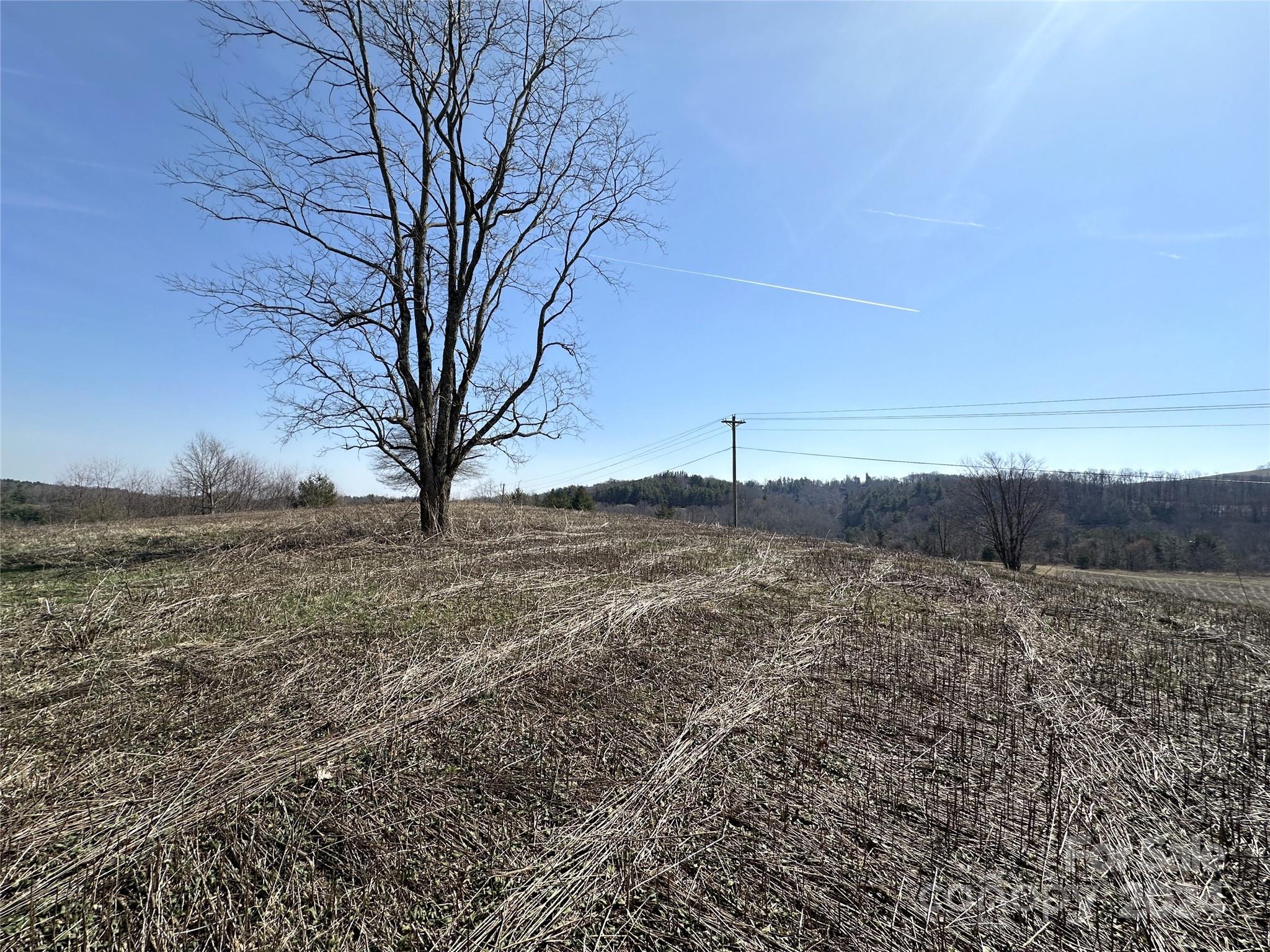 421 US Highway 421 None, Unit NONE Boone, NC 28607 - Photo 20 of 27 a view of mountain view with large trees