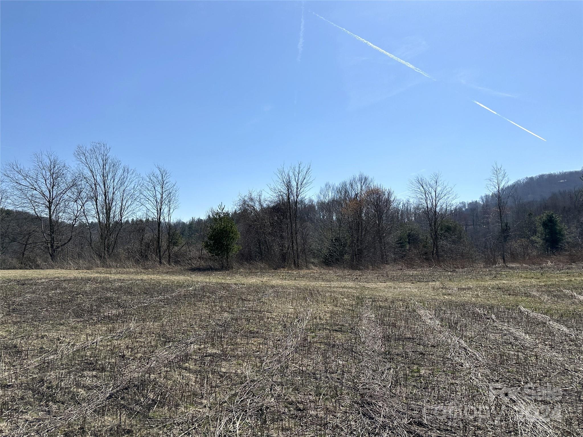 421 US Highway 421 None, Unit NONE Boone, NC 28607 - Photo 26 of 27 a view of dirt field with trees