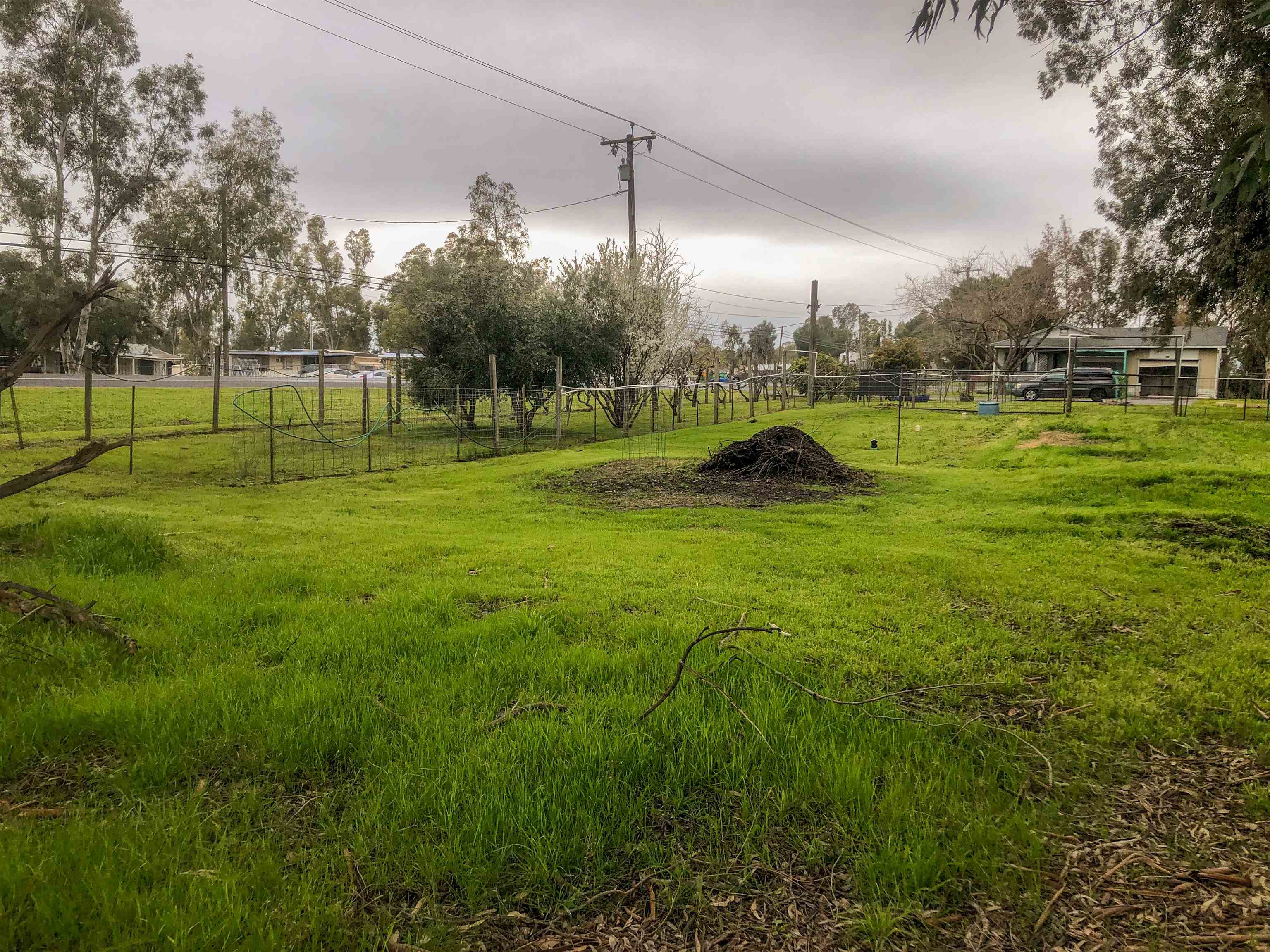 23848 Hoag Road Corning, CA 96021 - Photo 59 of 73