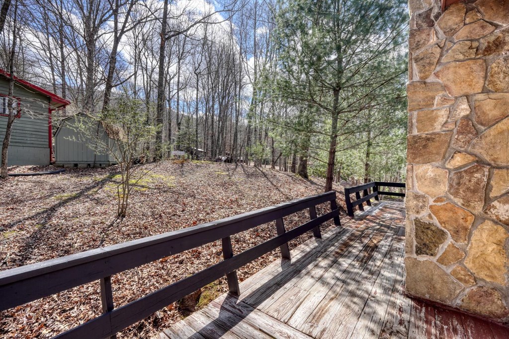 9 Silver Maple Lane Murphy, NC 28906 - Photo 14 of 49