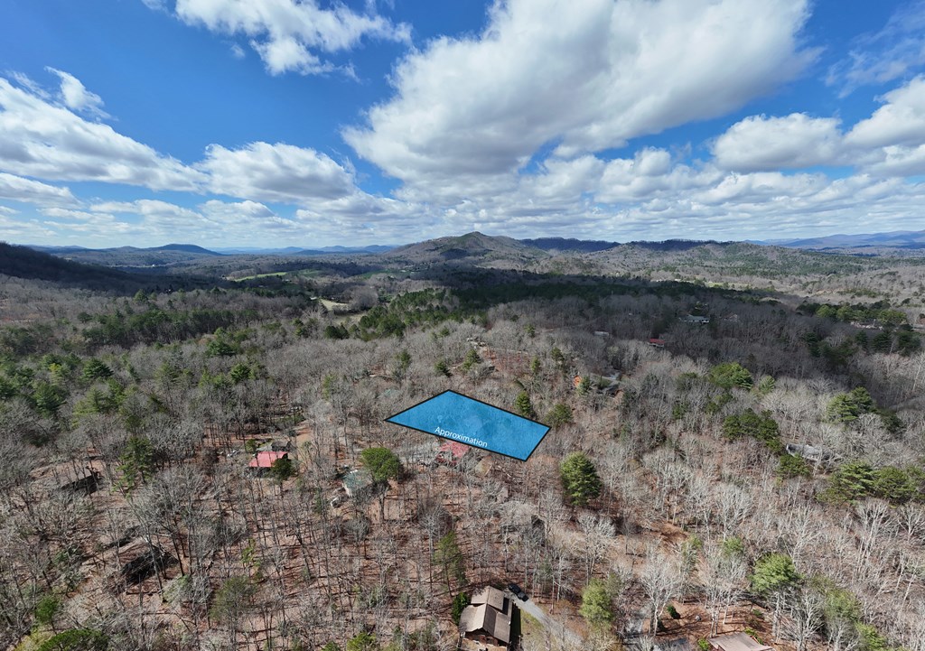 9 Silver Maple Lane Murphy, NC 28906 - Photo 48 of 49