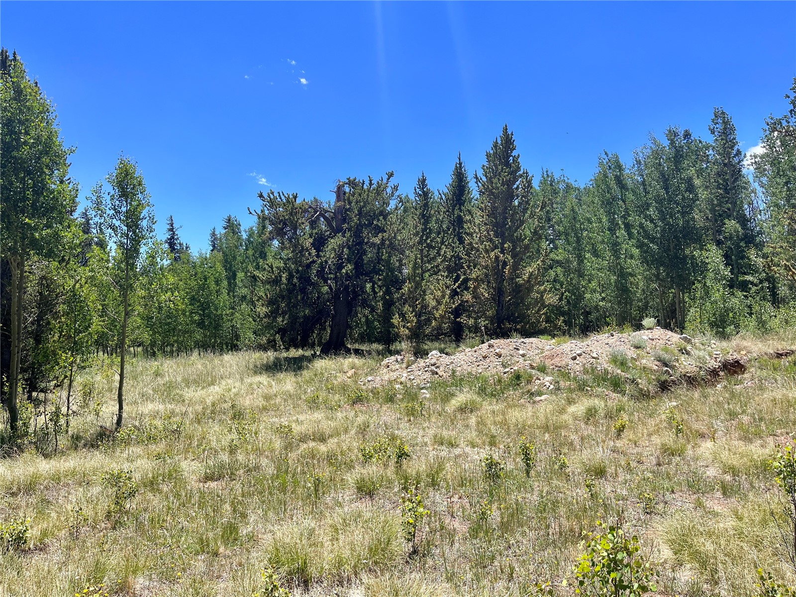 845 Adventure Road Alma, CO 80420 - Photo 24 of 31 Gallery Image 24